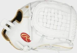 Equipment Rawlings Liberty Advanced Fastpitch Glove